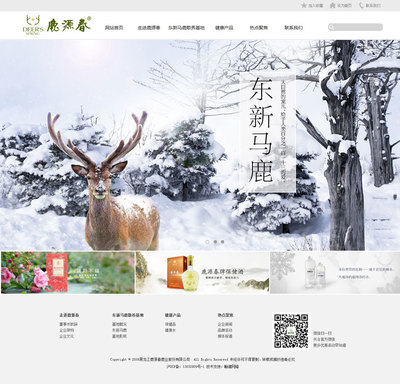 哈尔滨网站建设的智慧之选——翰诺科技网页制作专业服务